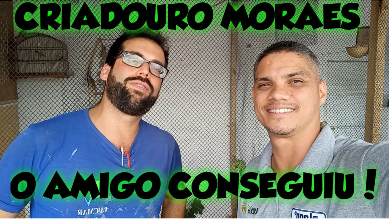 😎CRIA&Ccedil;&Atilde;O DE TRINCA FERRO