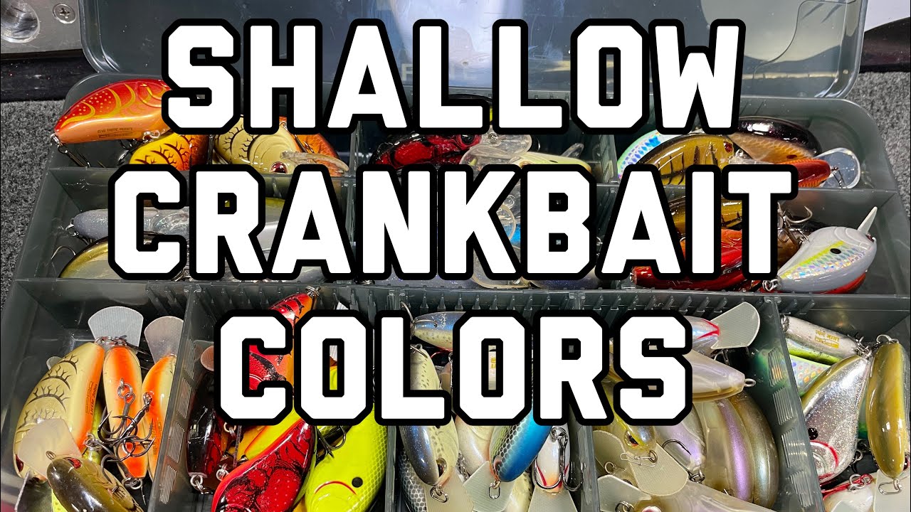 SHALLOW CRANKBAIT COLORS