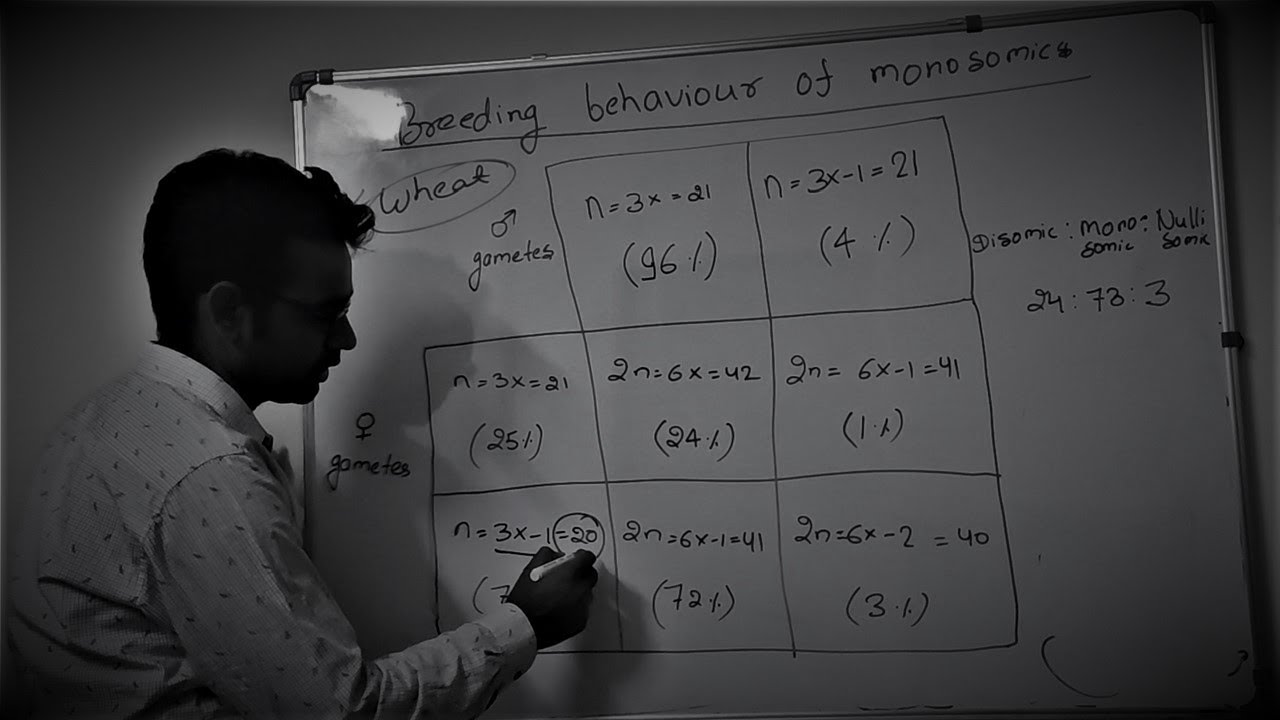 Monosomics Part 3 (Meiotic & Breeding Behavior) | Univalent Shift |