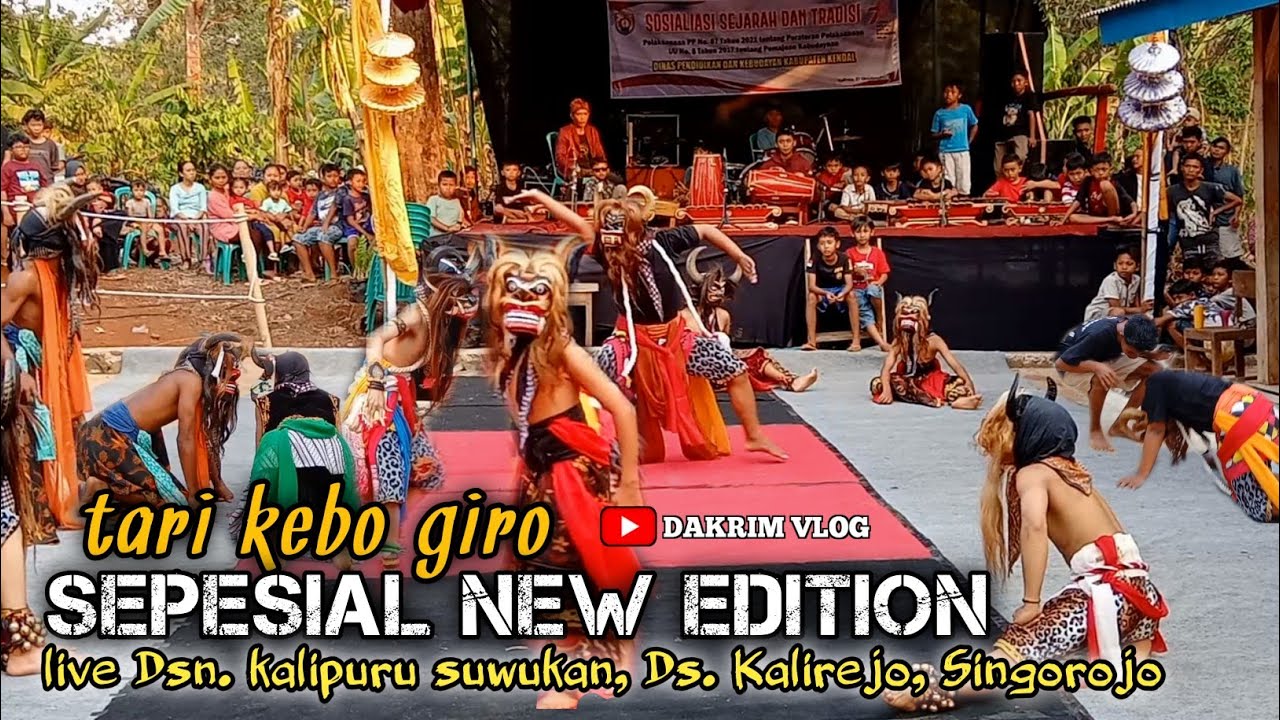 tari kebo giro NEW EDITION perfom Kalipuru, Singorojo, Kendal