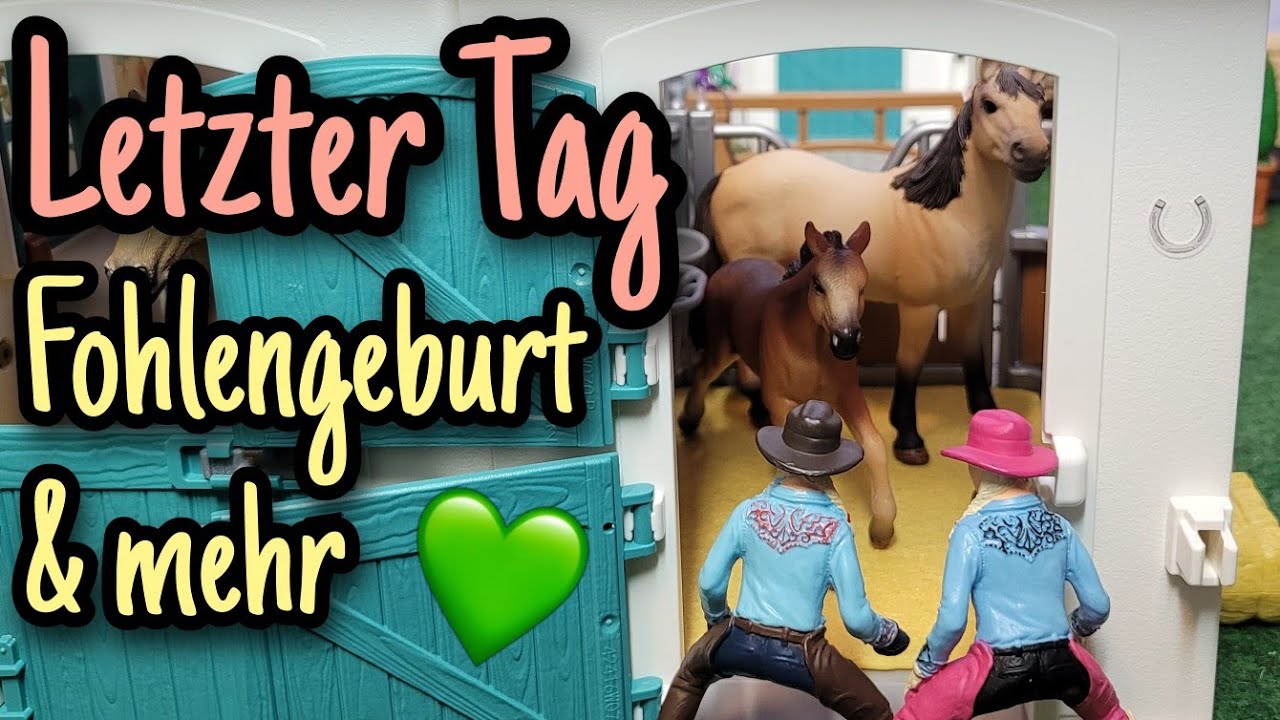 Fohlengeburt, Versöhnung & Abschied 👋💗 | #7 Reiterferien auf dem Grünwaldhof 2023 🍀