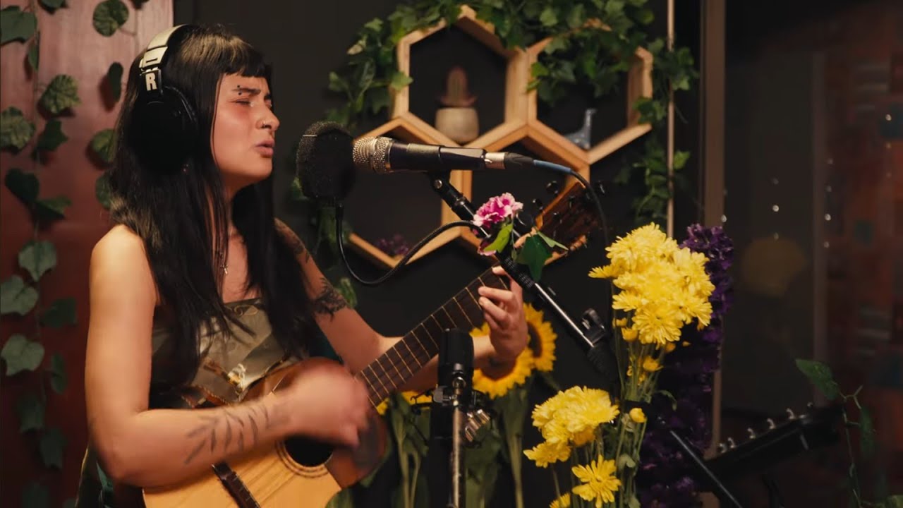 Murmuros Live: Abeja Melipona | luci le