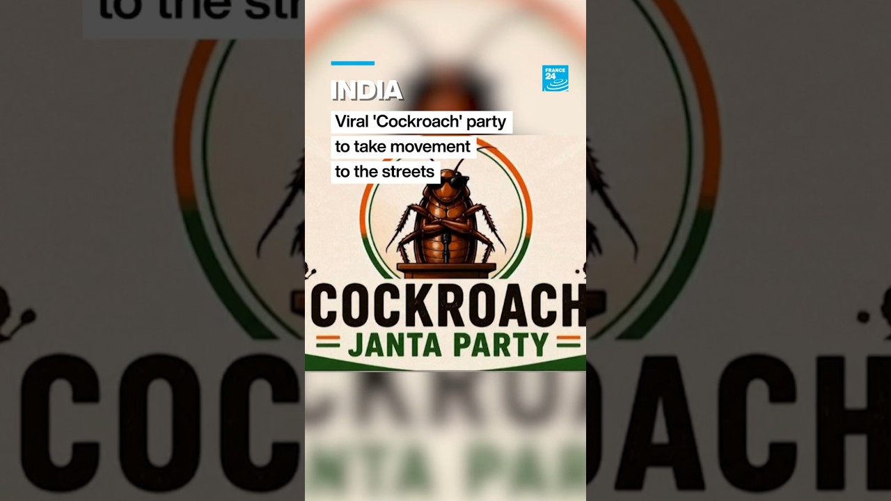 India: Viral 'Cockroach' party to take message to the streets &bull; FRANCE 24 English