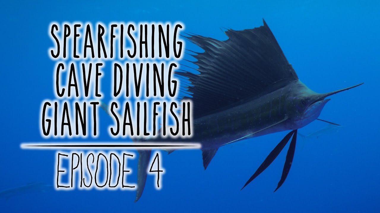Spearfishing in Tonga: Wahoo, Sailfish & an EPIC cave! (Underwater Ally Adventures) Ep.4