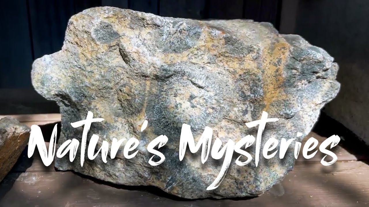 Nature's Mysteries