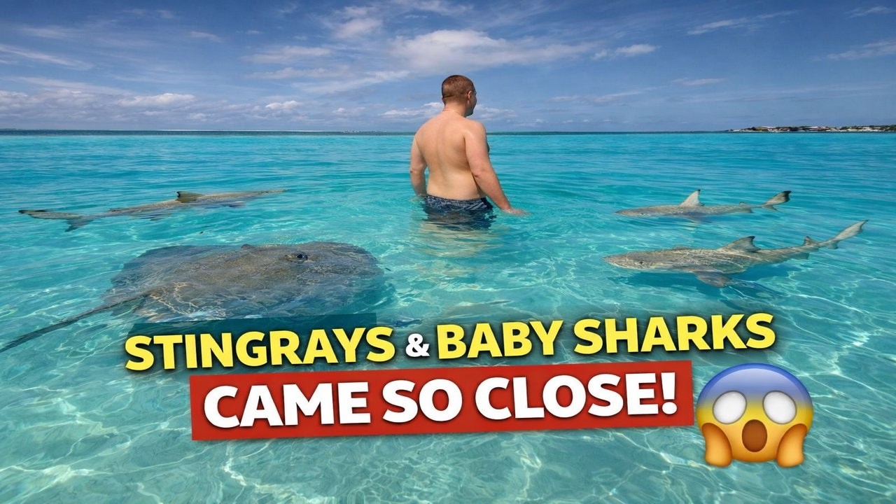 STINGRAYS TOUCHED US IN THE WATER 😱