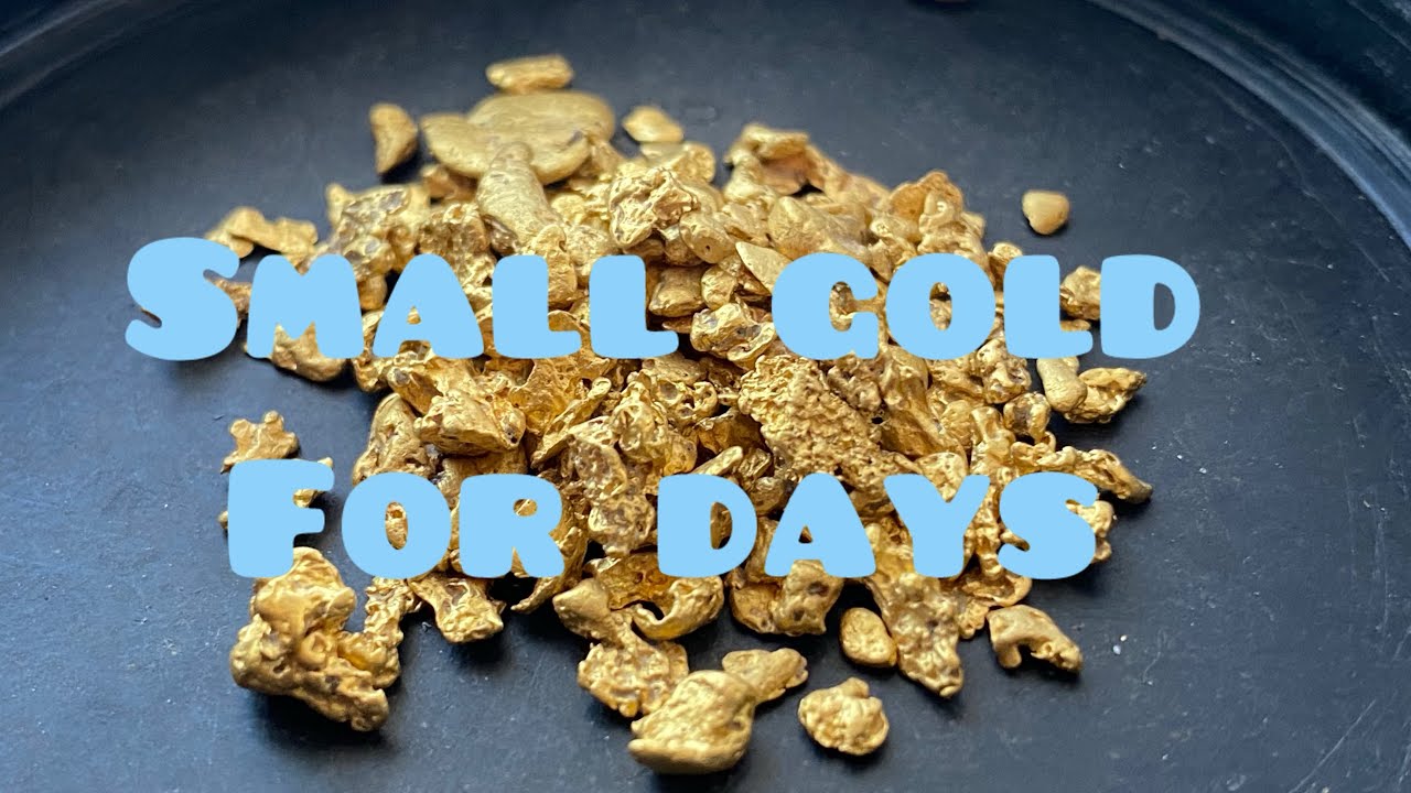 Gold detecting on Palmerville station for 5 days