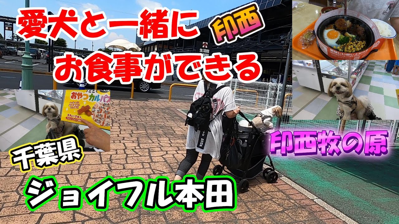 愛犬と一緒にお食事　ジョイフル本田　千葉ニュータウン店