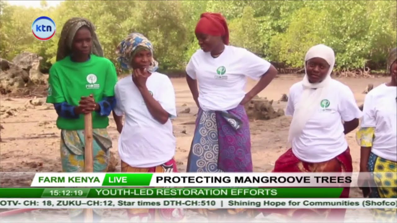 Farm Kenya || Organic farm security