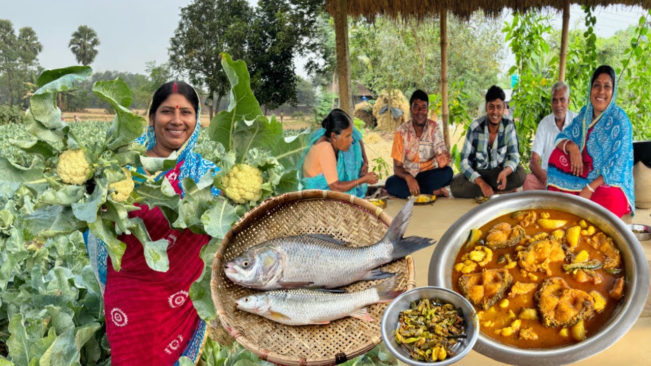 নদীর বড়ো কাতলা মাছ ফুলকপি দিয়ে আর মাছের তেলে বেগুন ভাজা- জমিয়ে খাওয়া-দাওয়া। Cauliflower recipe