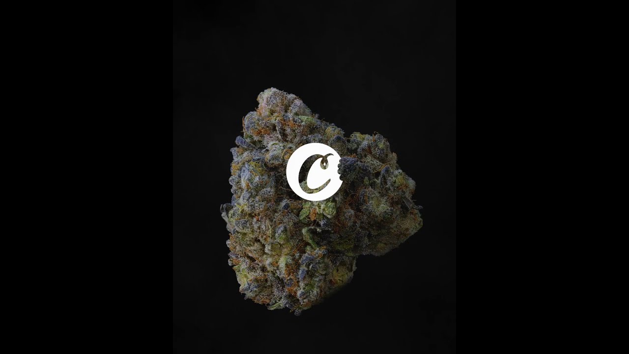 Berry Pie Strain Video