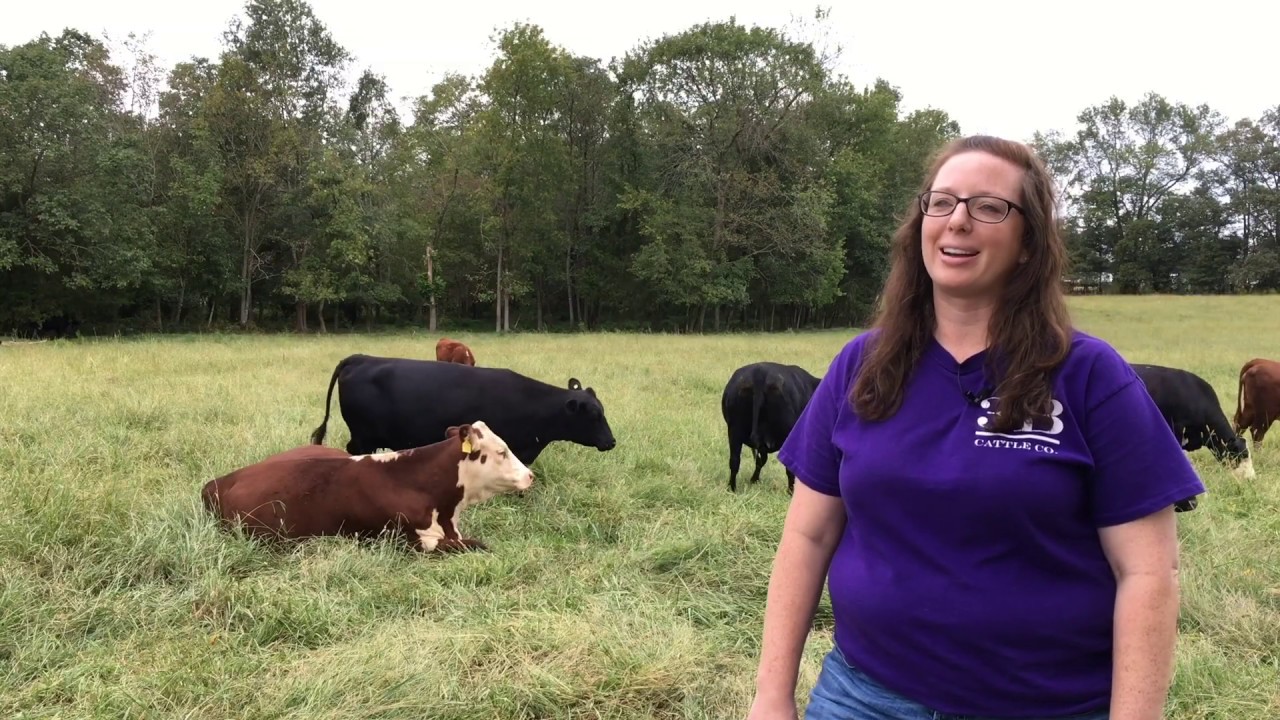My Favorite Forage: A Tale of Forage Diversity in NC by Deidre Harmon, April Shaeffer, Paige Smart