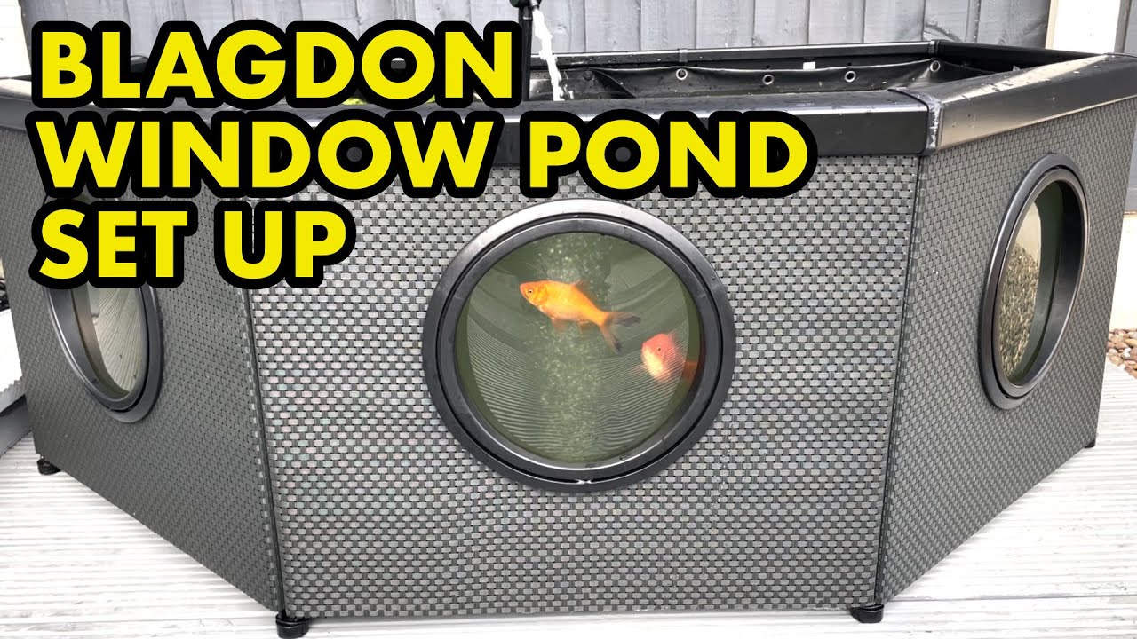 Garden Window Fish Pond
