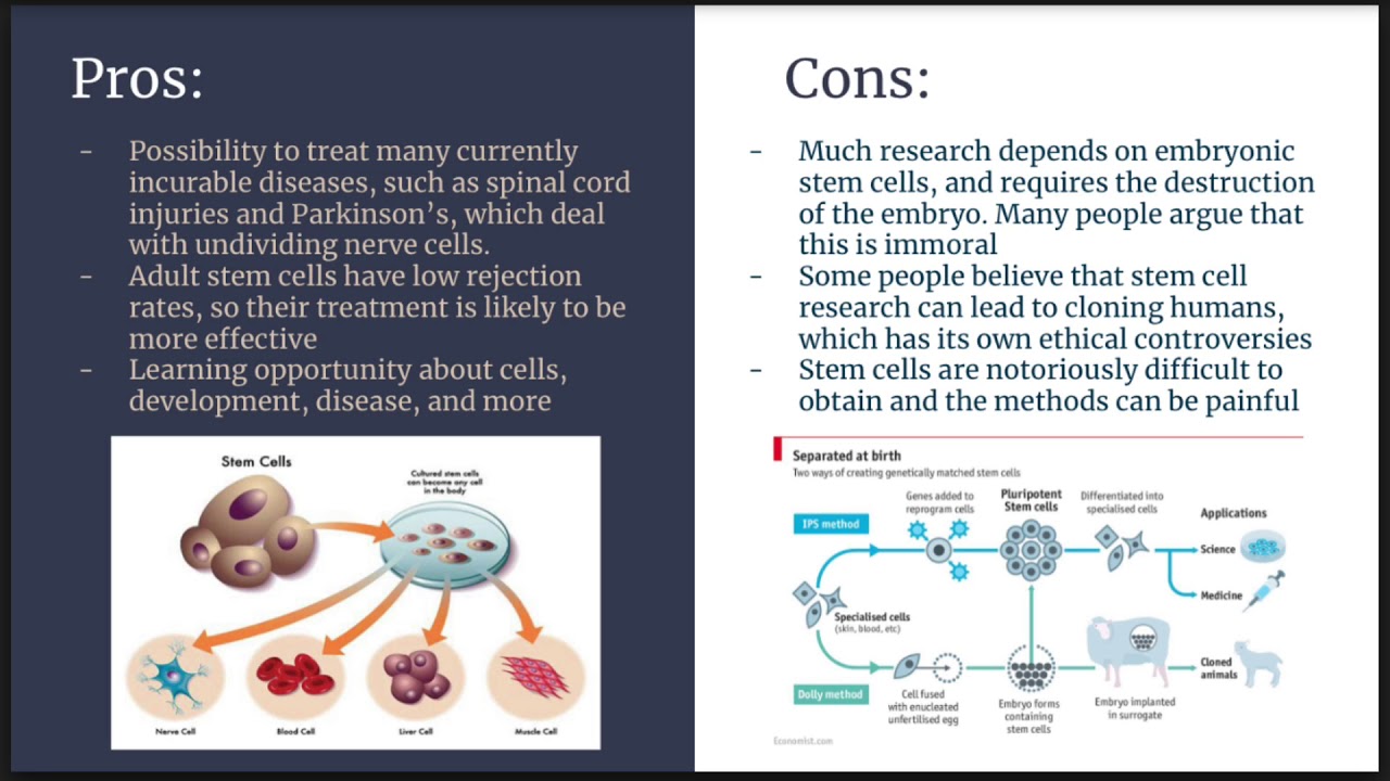 The Ethics of Stem Cell Research