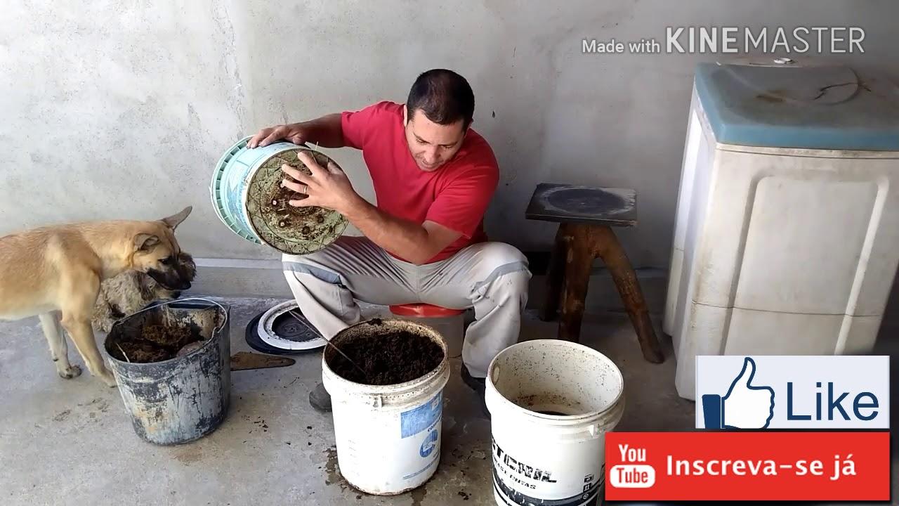 O jeito mais fácil de criar minhocas para pesca