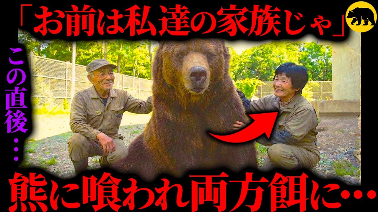 周りの忠告無視し拾った小熊を20年溺愛した夫婦の末路&hellip;生きたまま&ldquo;餌&rdquo;にされ骨だけになる