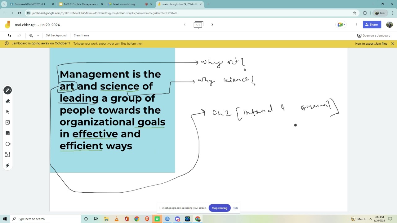 MGT201 introduction to management