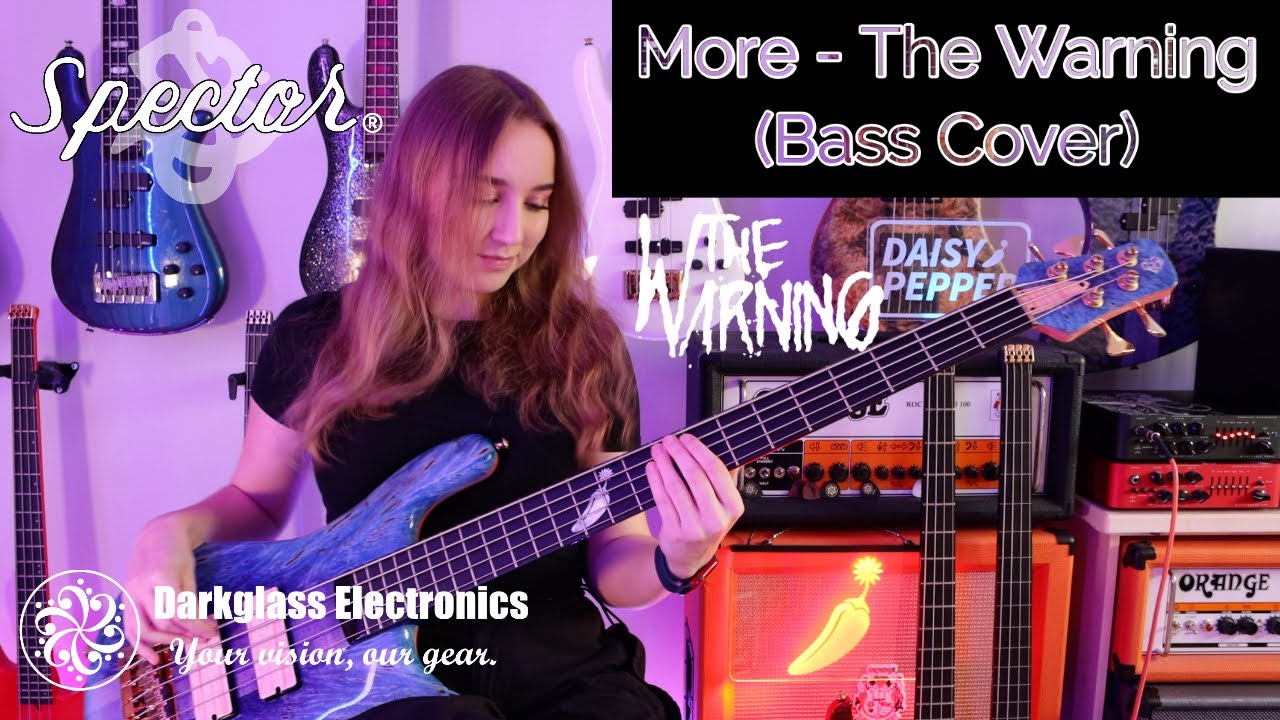 More - The Warning (Bass Cover)