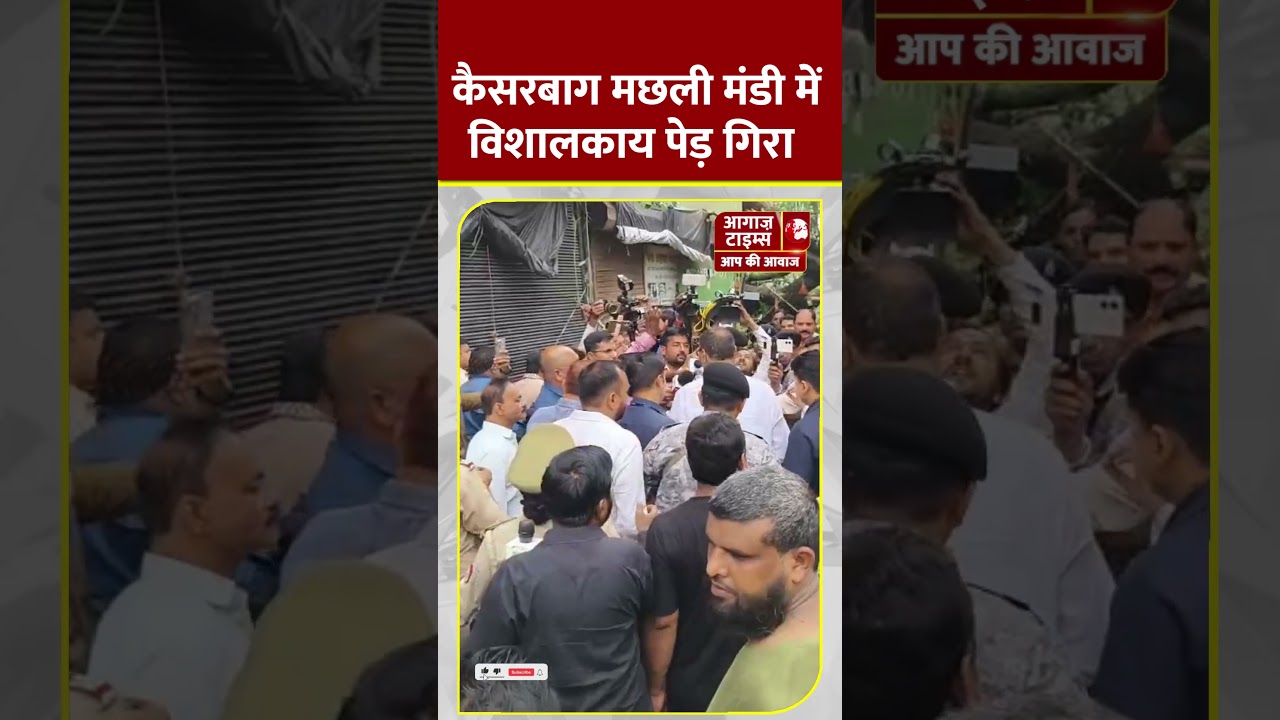 A huge tree fell in Kaiserbagh fish market #lucknow #rain #trending