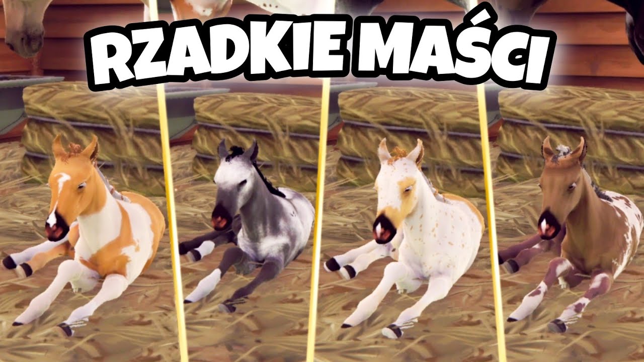 HODOWLA PIĘKNYCH RZADKICH KONI I MAŚCI Rival Stars Horse