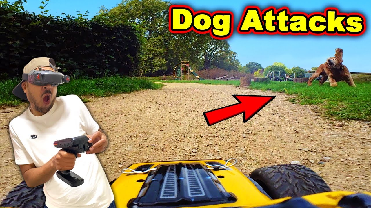 The Best FPV RC Car Moments