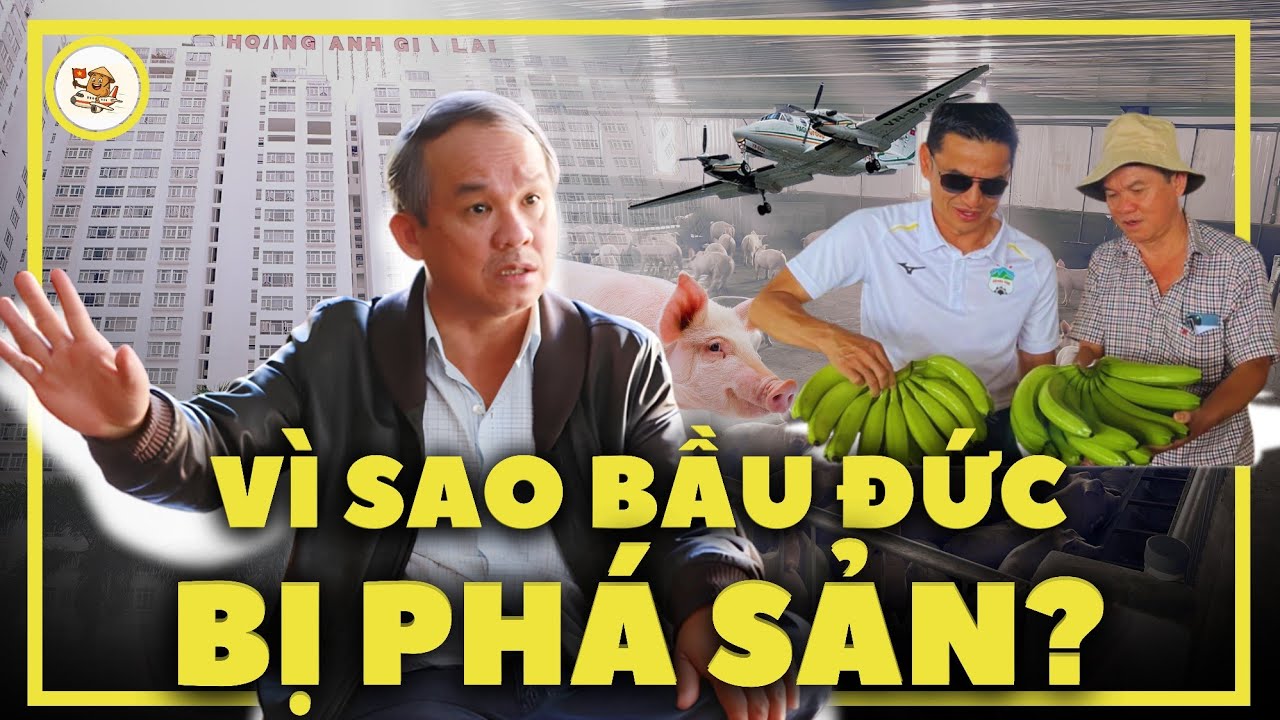 Tất tần tật vụ thảm kịch phá sản của Bầu Đức trong 11 phút