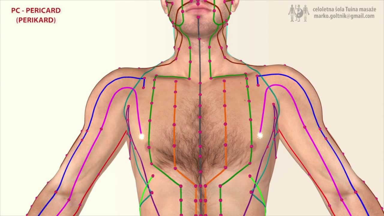 PC - PREICARDIUM MERIDIAN (Meridijan Perikarda)