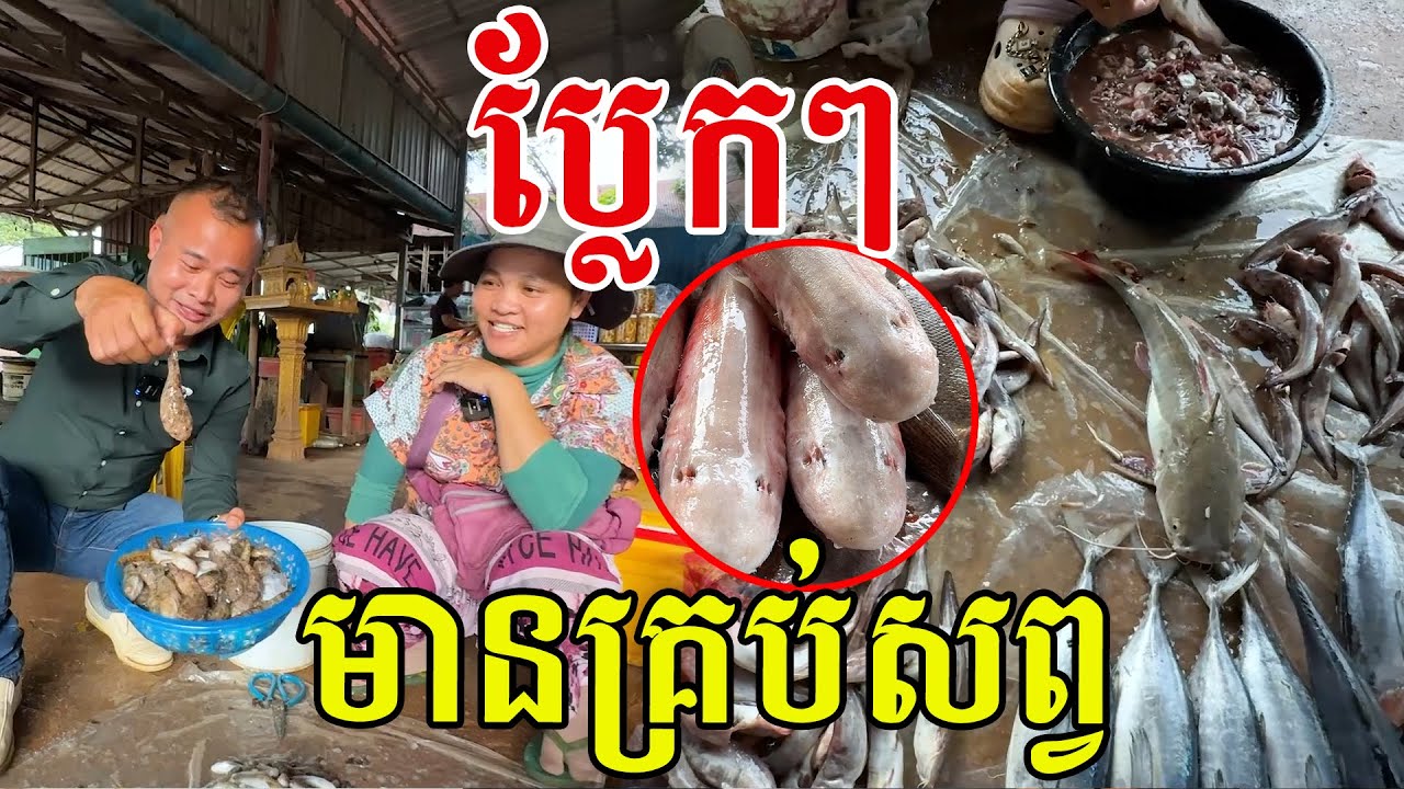 ប្លែកៗ មានគ្រប់សព្វ ពូកែមែនអ្នកសមុទ្រ