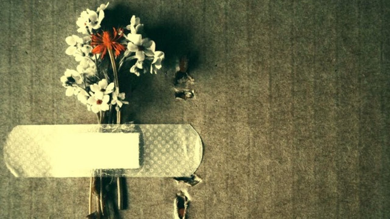 Mohammad Reza Eshaghi & Arya Aziminejad  ♪ Folk Love Song
