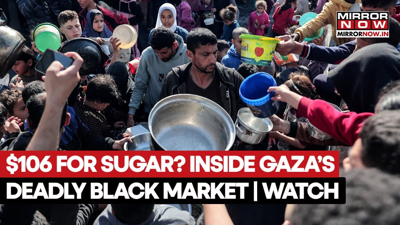 Gaza War: $104 For 1 Kg Of Sugar? Inside Gaza's Deadly Black Market Amid Humanitarian Crisis | Watch