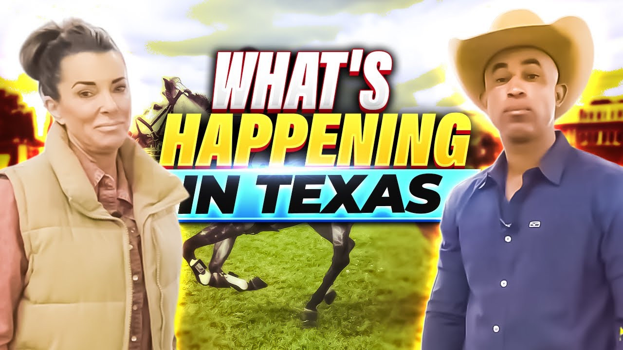 WHAT'S HAPPENING IN TEXAS