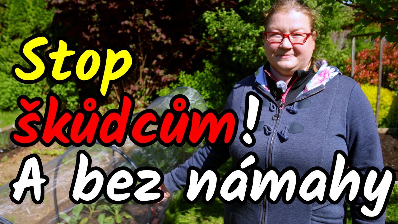 🚫🐛 Tato JEDNA VĚC vyřeší 95% problémů se škůdci zeleniny a to bez postřiků a námahy!