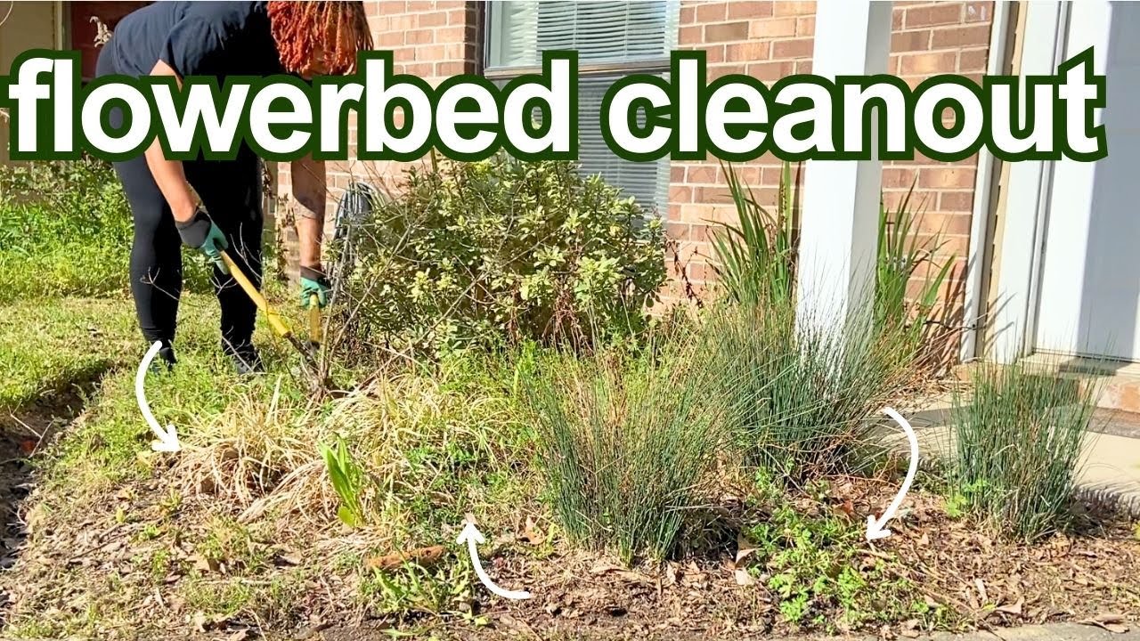 March Flowerbed Cleanup: Weeding, Pruning, and Preparing for Spring | Gardening Motivation