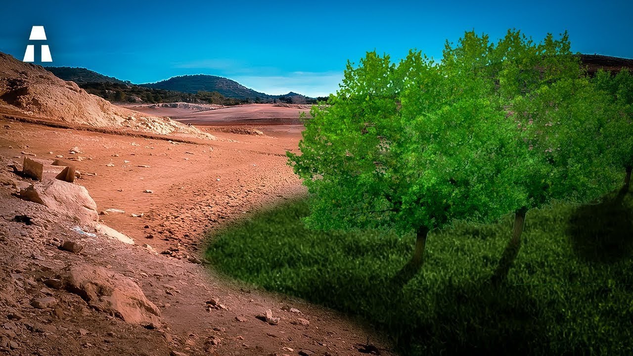 España Transforma los Desiertos en Bosques