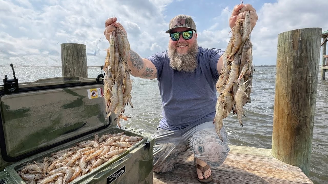 1000’s of JUMBO shrimp in my Cast Net!!!! Catch n Cook