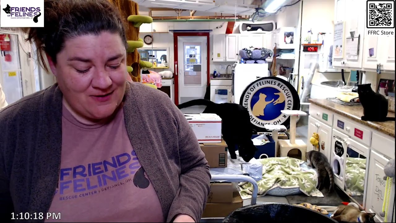 Boxes and Updates 02-03-2026   Friends of Felines Rescue Center (FFRC)