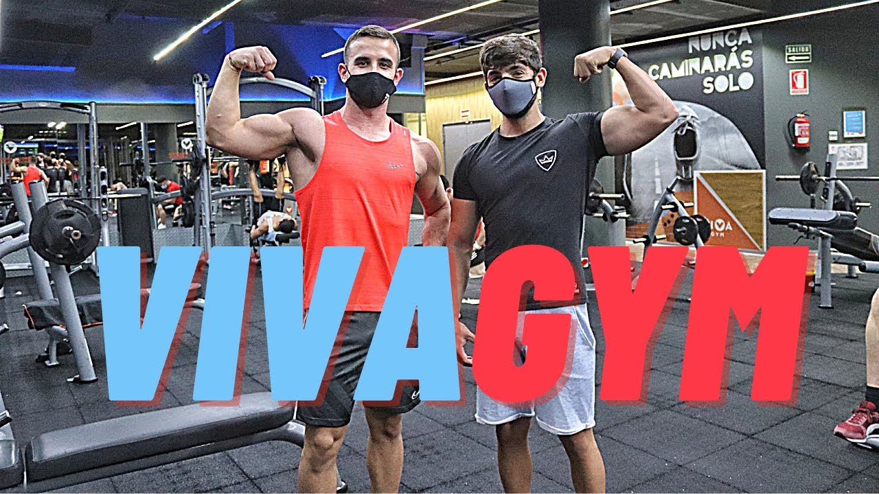 VIVAGYM - ENTRENANDO EN LOS MEJORES GIMNASIOS DE MÁLAGA - entreno y valoro