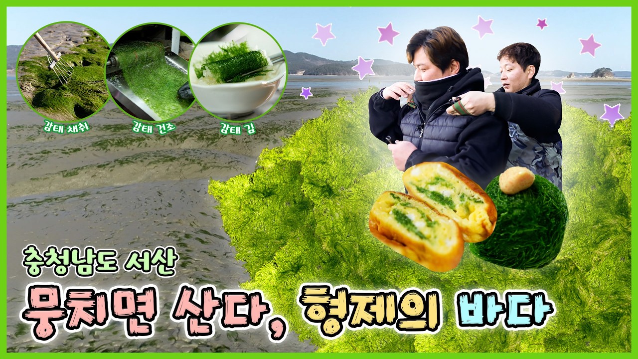 [인생은 행복海!] 뭉치면 산다, 형제의 바다 [6시N내고향] / KBS 방송