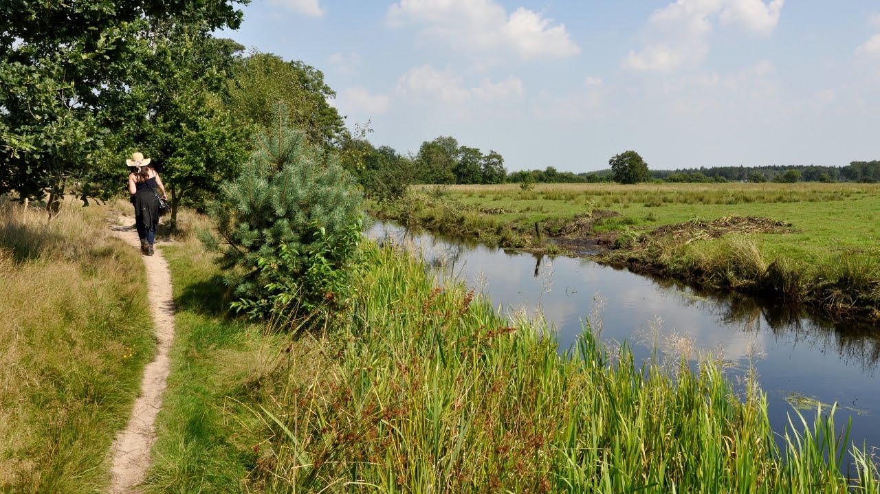 Hiking Fryslân - Walking the Olterterp Forest [August 20, 2015]