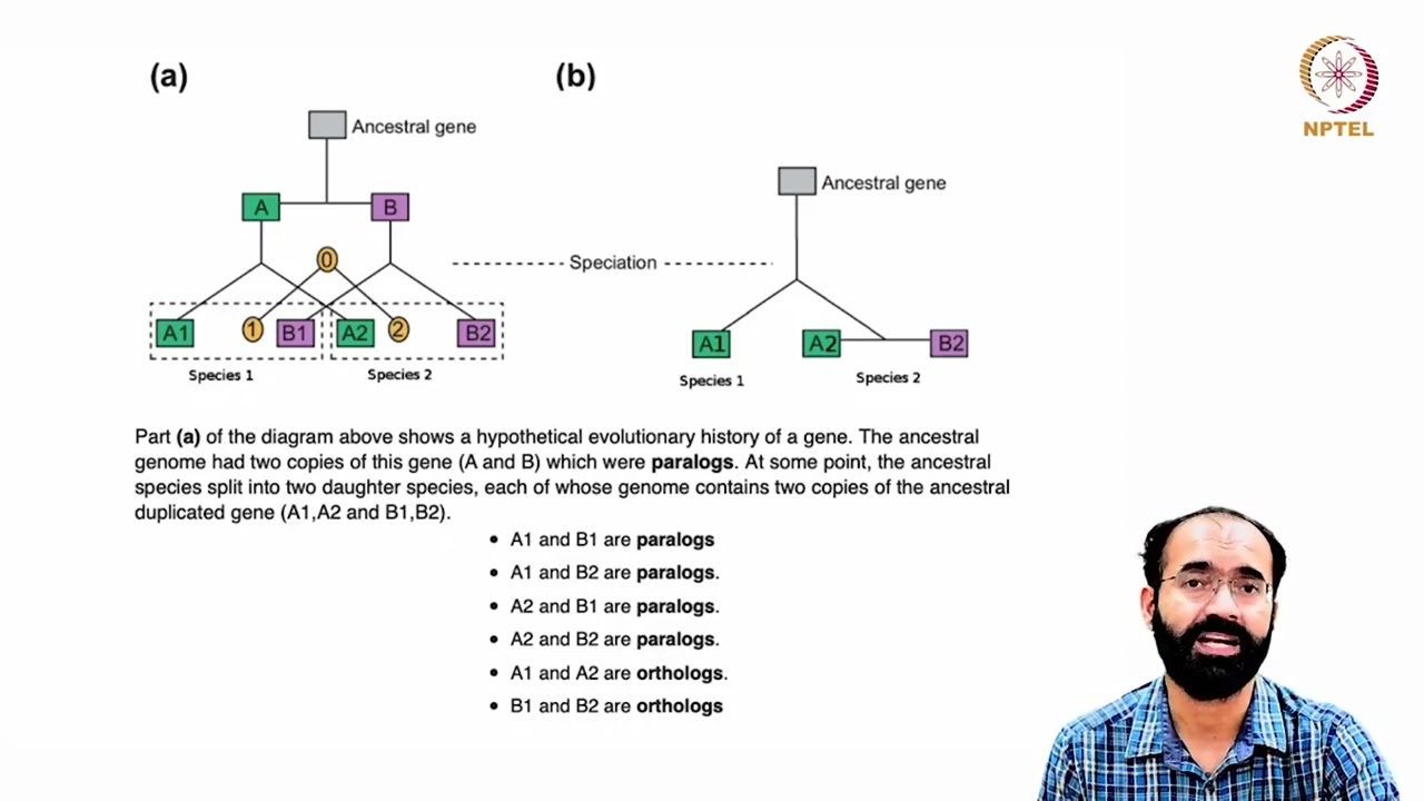 snRNA, rRNA, miRNA, siRNA Processing, Export and Function_ Introns and Link to Splicing