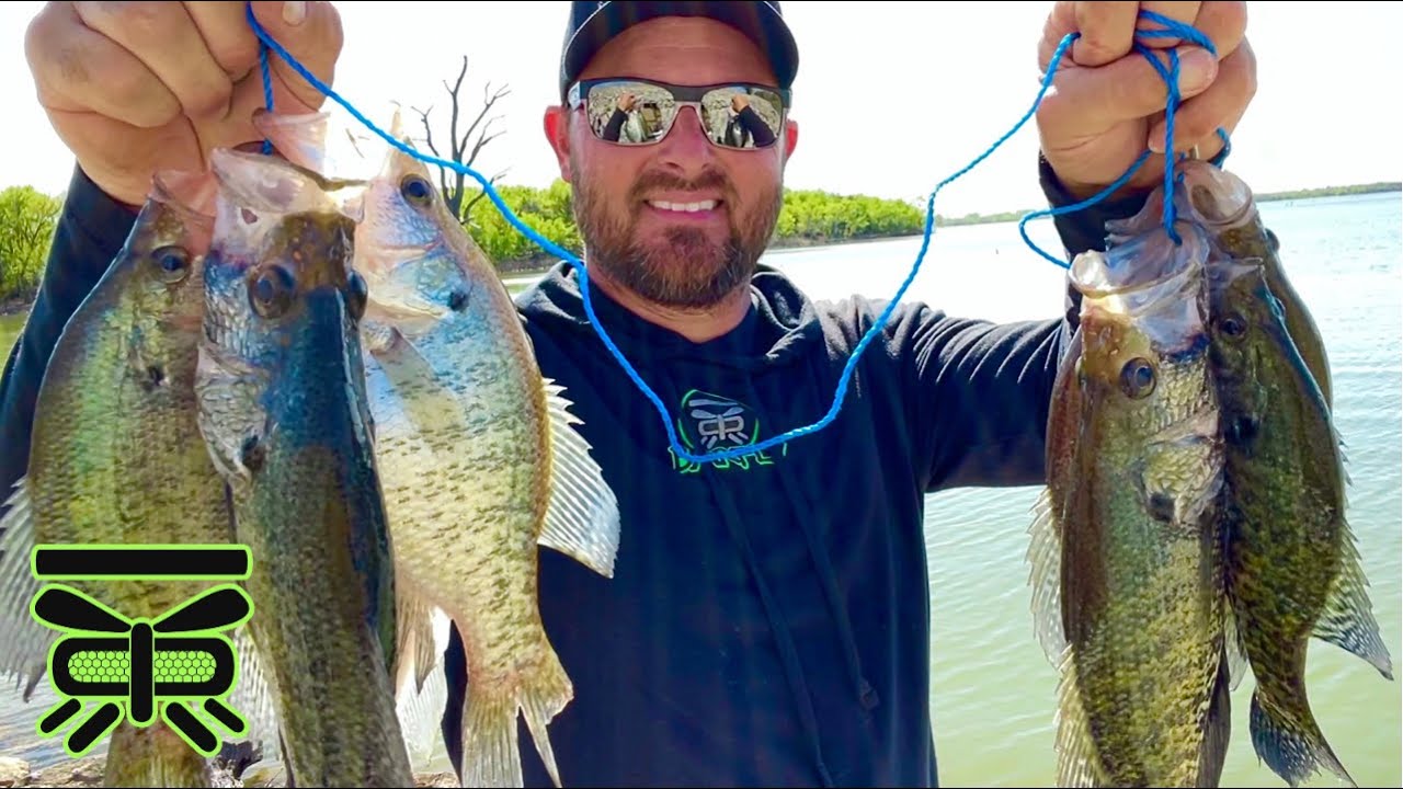 BANK Fishing for CRAPPIE with MINNOWS !🔥 | SLIP CORK & Minnows 🐟 #BARFLY