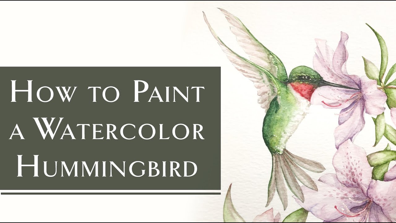 How to Paint a Ruby Throated Hummingbird Watercolor Tutorial