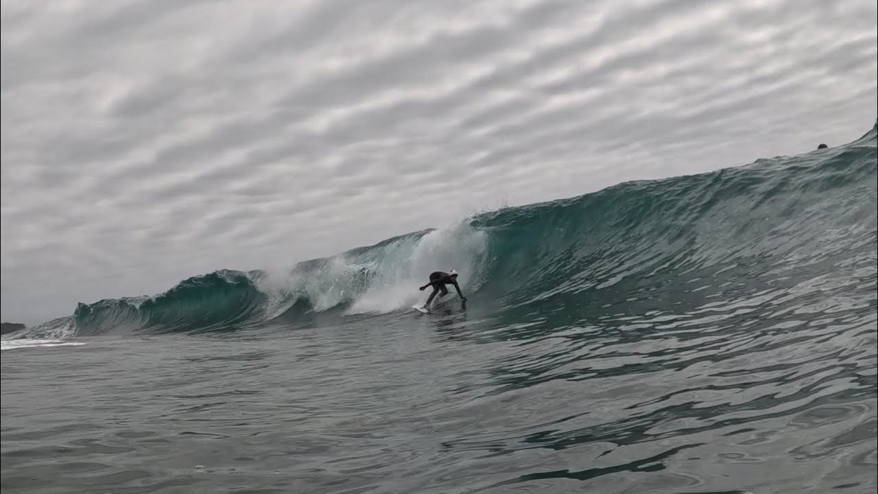 Escaping Sydney’s Shark infestation 