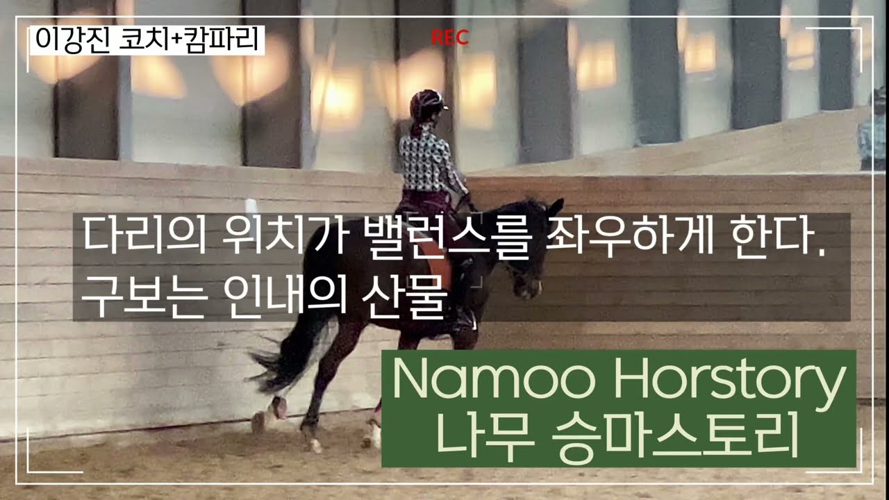 나무 승마스토리 2023 /에이스승마/ 캄파리 / 다리위치와 박차/ 다리위치와 밸런스/ 구보시 상체와 다리
