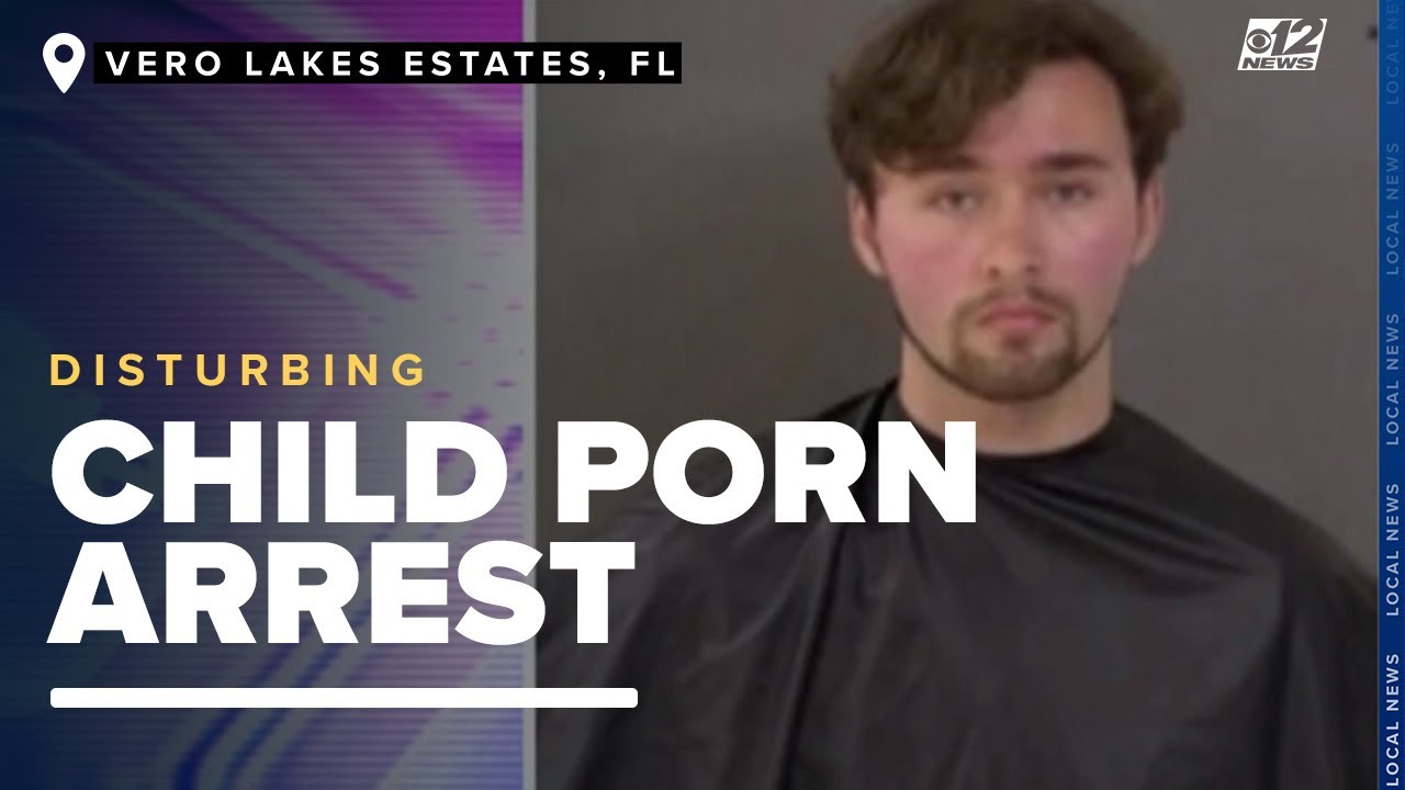 Vero Lake Estates man charged with 31 counts of possession of child pornography