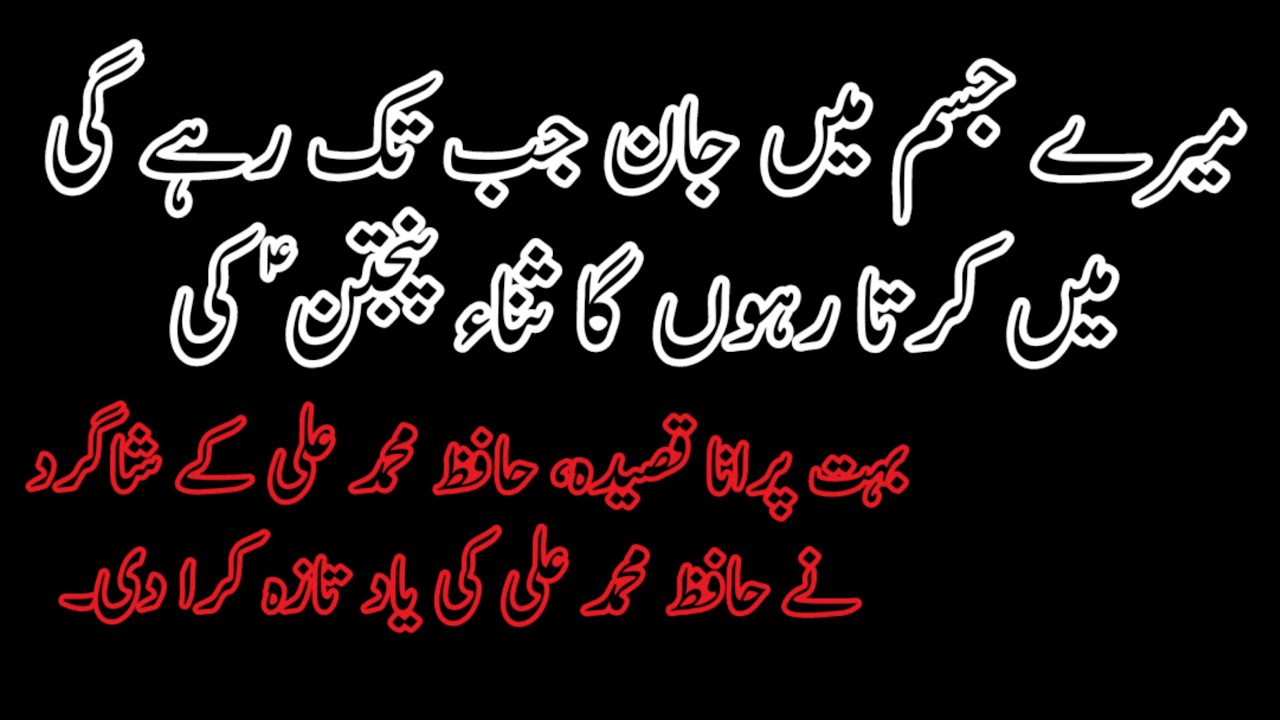 Mein Karta Rahonga Sanaa Panjtan Ki | Hafiz Muhammad ALI Ki Yad Taza Ho Gai | Behal Azadari