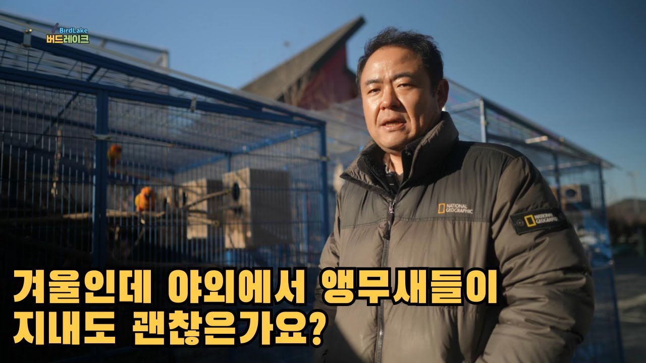 앵무새들이 겨울에도 야외에서 지낼수 있는이유