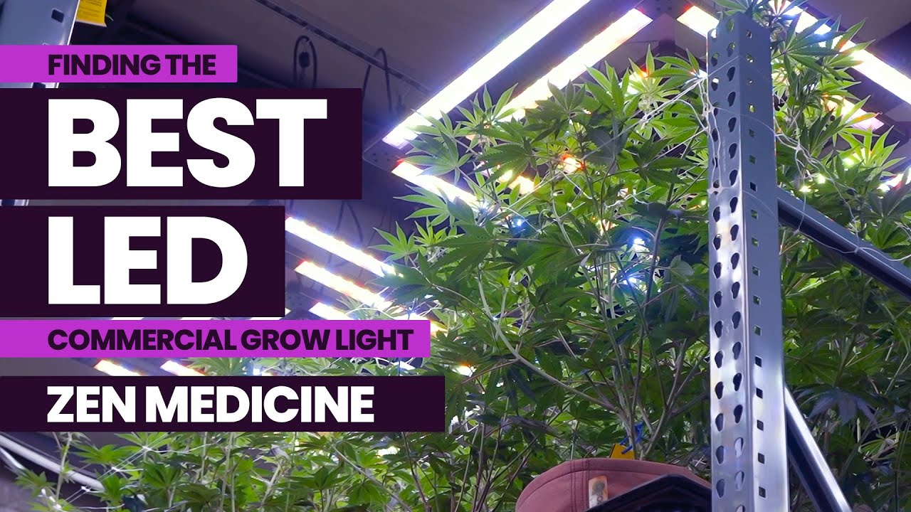 Finding the BEST LED Commercial Grow Lights with KIND [PREVIEW]