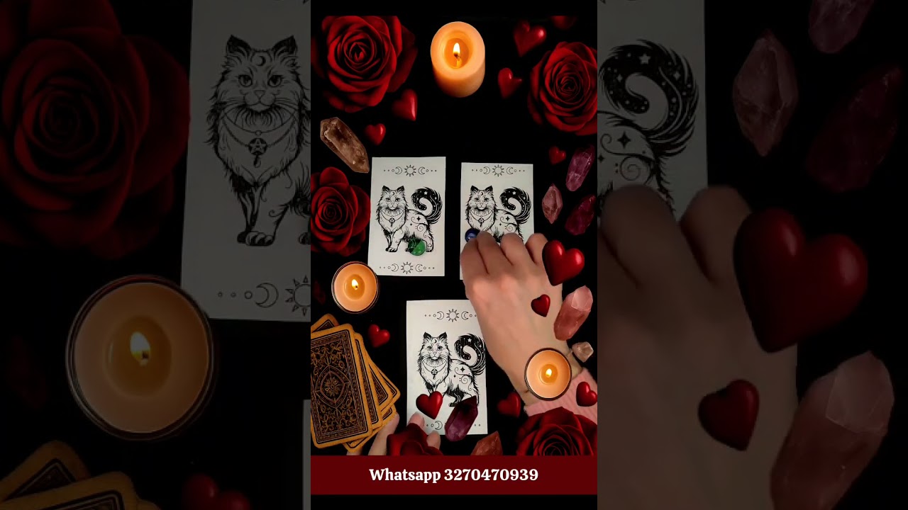 Messaggio Per Te | Scegli Una Carta! ✨Tarocchi✨