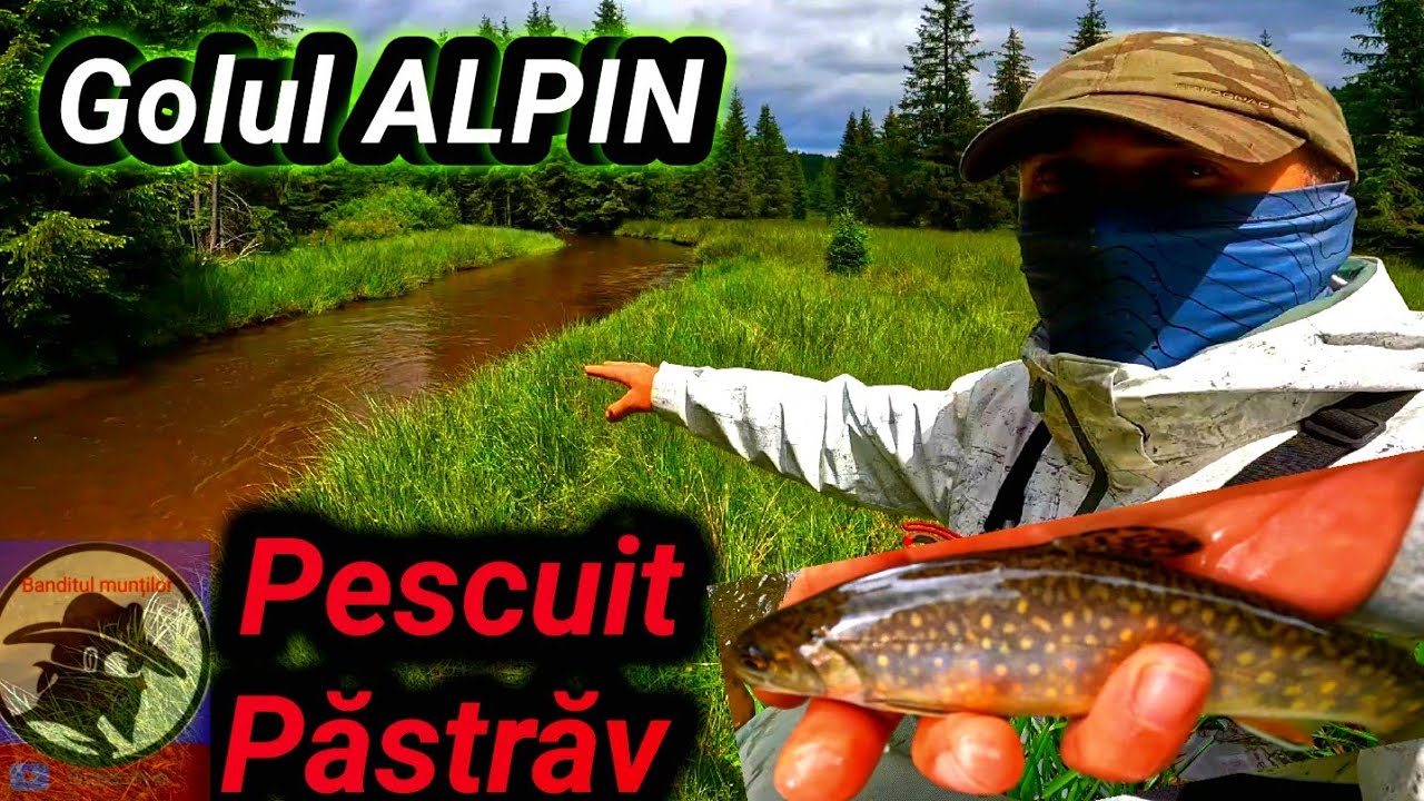Pescuit PĂSTRĂV aproape de golul ALPIN! trout fishing! Munții Apuseni!